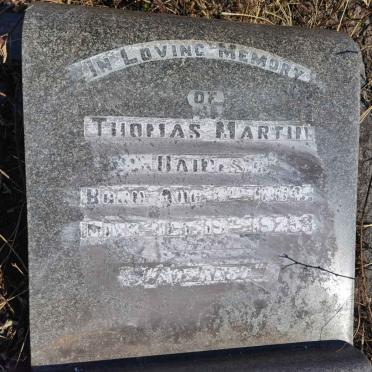 DAINES Thomas Martin 1864-1925