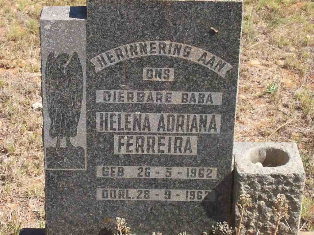 FERREIRA Helena Adriana 1962-1962