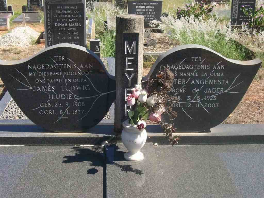MEYER James Ludwig 1908-1977 &amp;  Hester  Angenesta DE JAGER 1923-2003