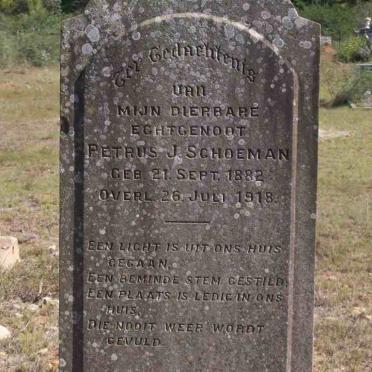 SCHOEMAN Petrus J. 1882-1918
