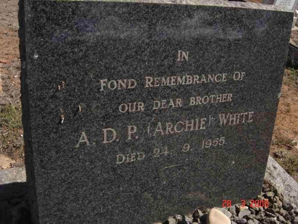 WHITE A.D.P. -1955