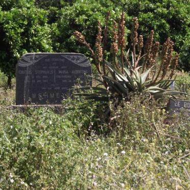 Eastern Cape, HANKEY district, Patensie 65, Gonnakop farm cemetery
