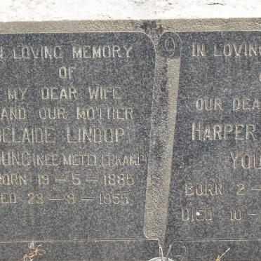 YOUNG Harper Scott 1878-1962 &amp; Adelaide Lindop METELERKAMP 1885-1955 