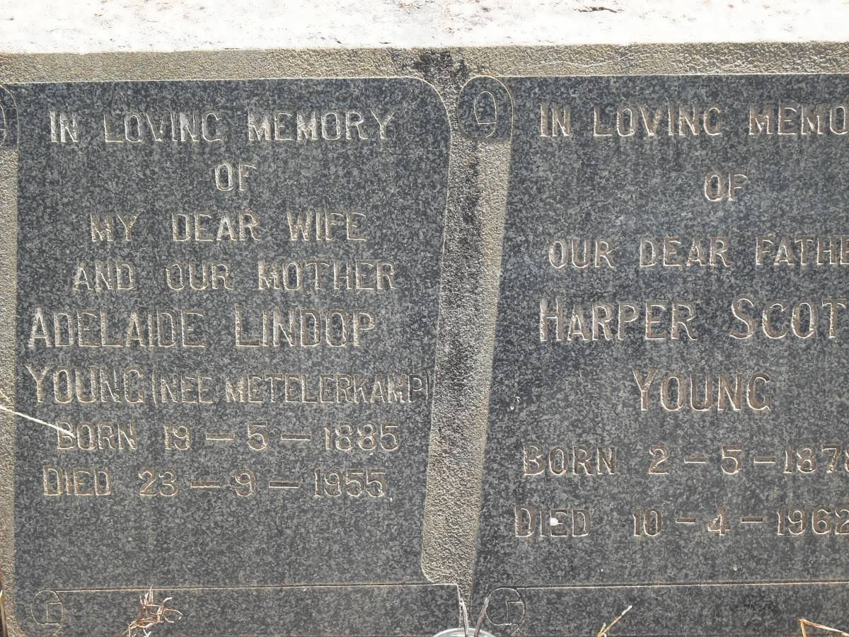 YOUNG Harper Scott 1878-1962 &amp; Adelaide Lindop METELERKAMP 1885-1955 