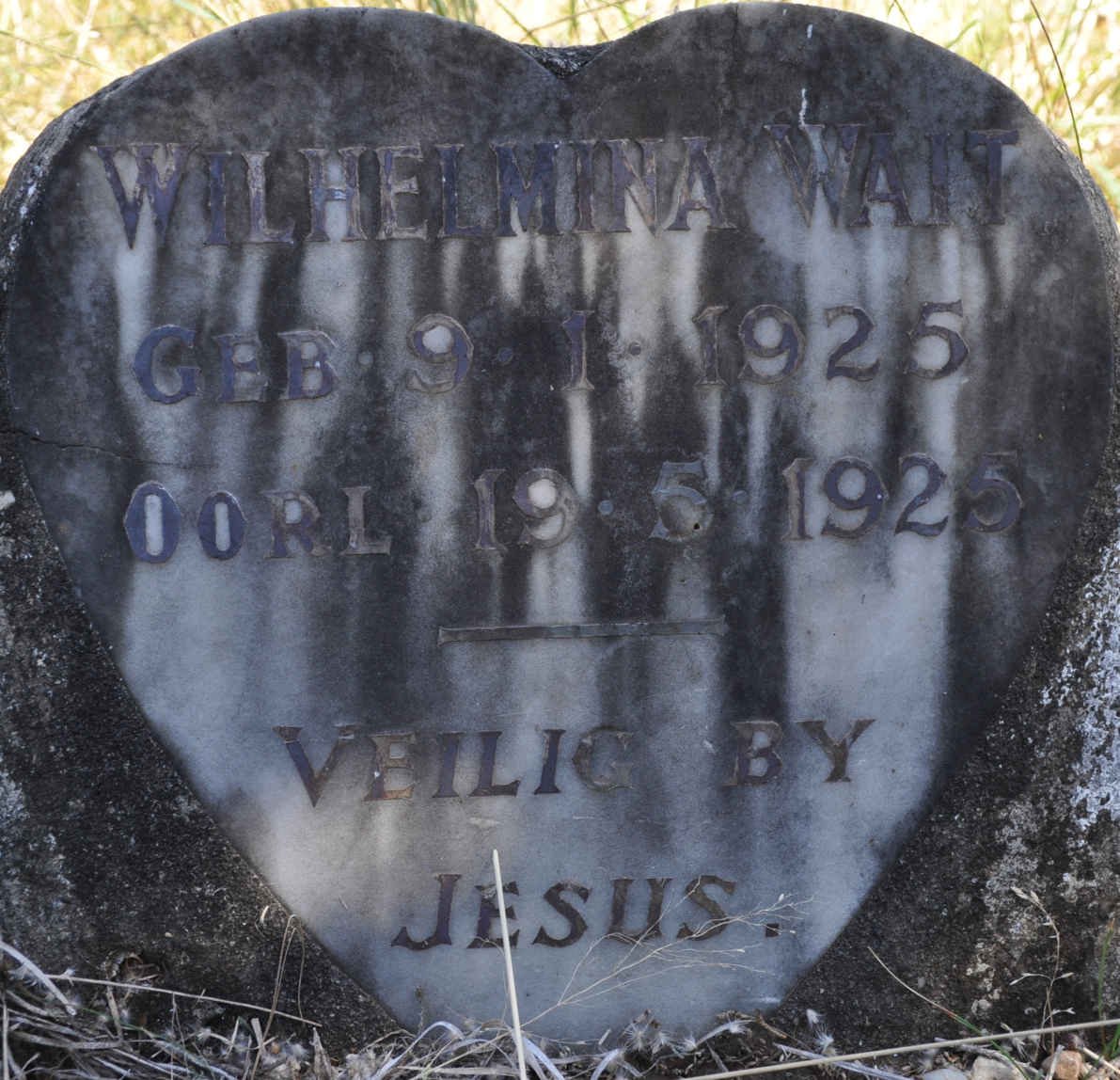 WAIT Wilhelmina 1925-1925