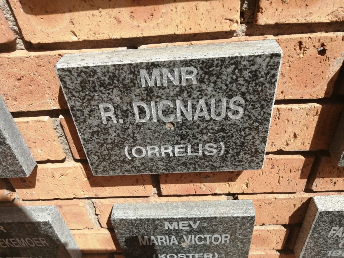 DICNAUS R.