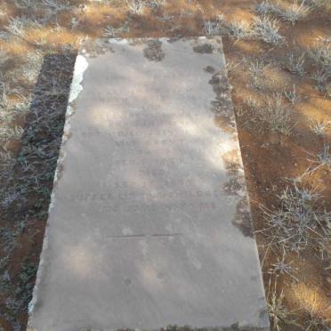 KEEVY ? 187? :: KEEVY Elizabeth E. 187? :: KEEVY Lily 1877-1977