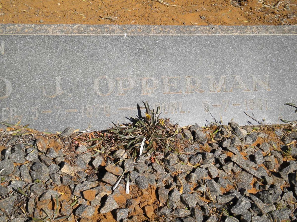 OPPERMAN D.J. 1878-1941