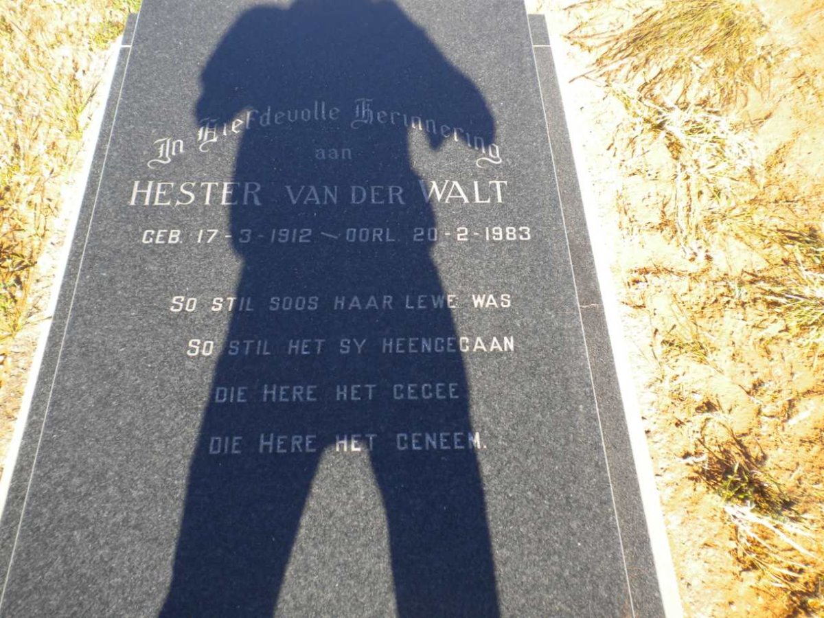 WALT Hester, van der 1912-1983
