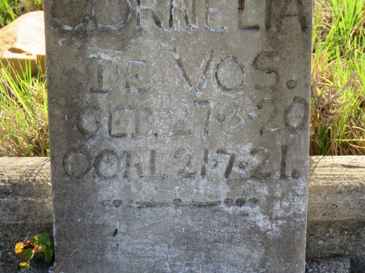 VOS Cornelia, de 1920-1921