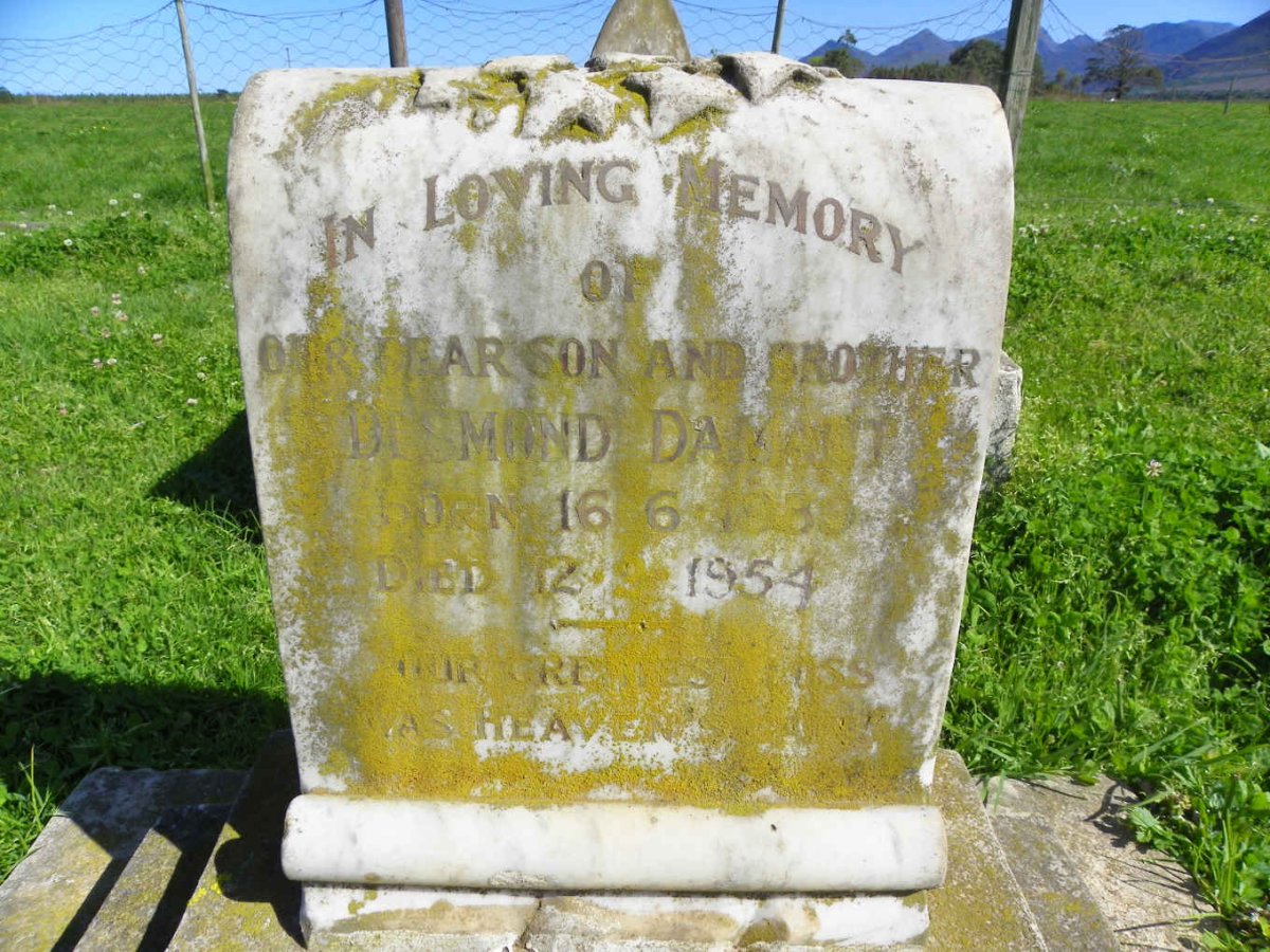 DAMANT Desmond 1930-1954