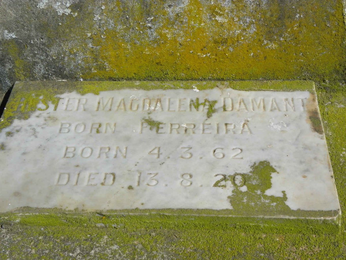 DAMANT Hester Magdalena nee FERREIRA 1862-1920