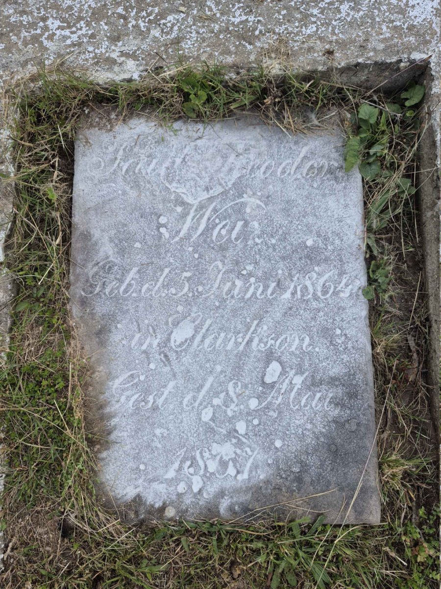 WEI? F? Theodor? 1864-18?7