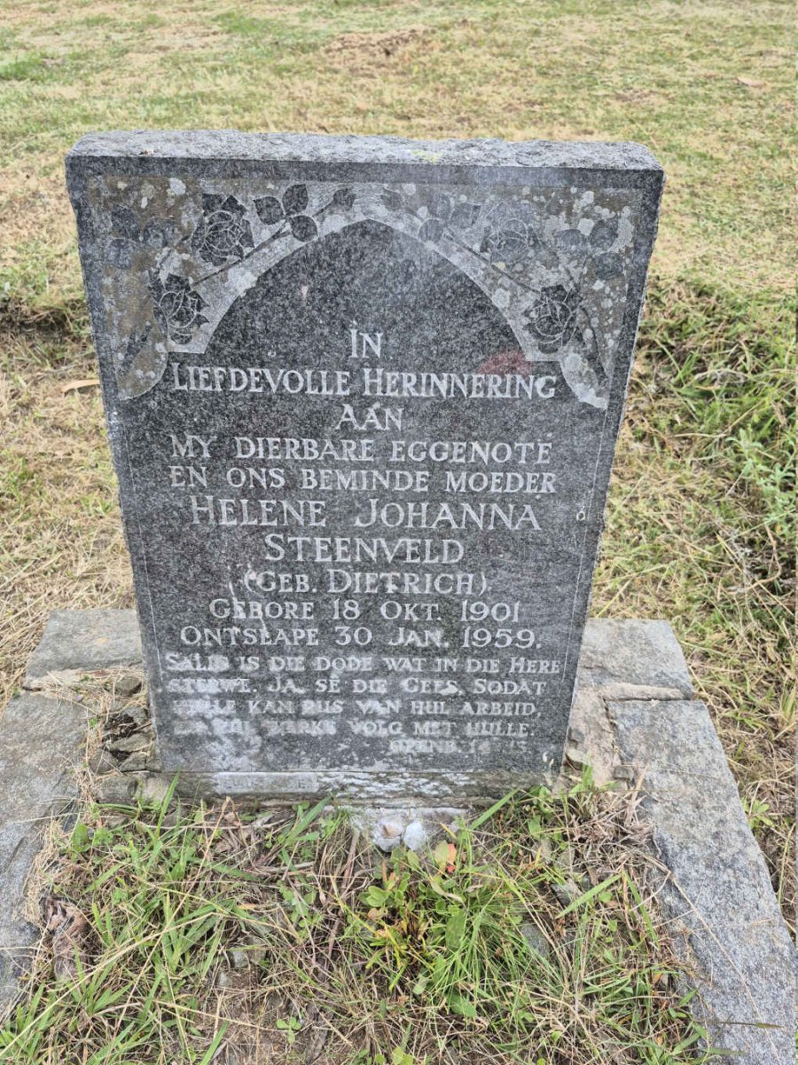 STEENVELD Helene Johanna nee DIETRICH 1901-1959