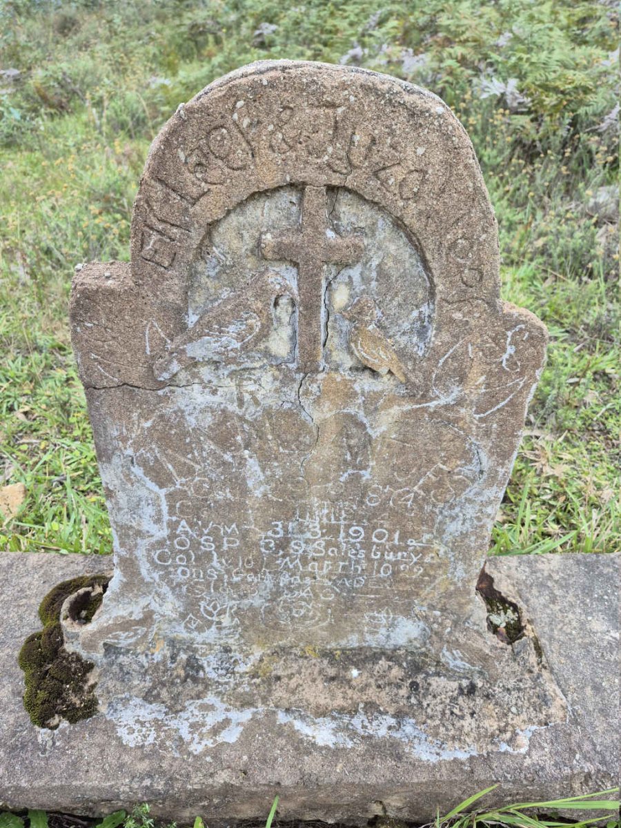 JANTJES 1901-1922