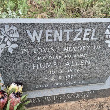 WENTZEL Hume Allen 1947-1973