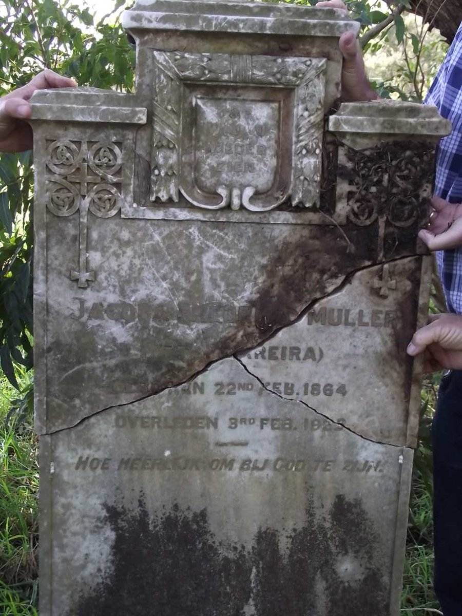 MULLER Jacoba Fredrica nee FERREIRA 1864-1933