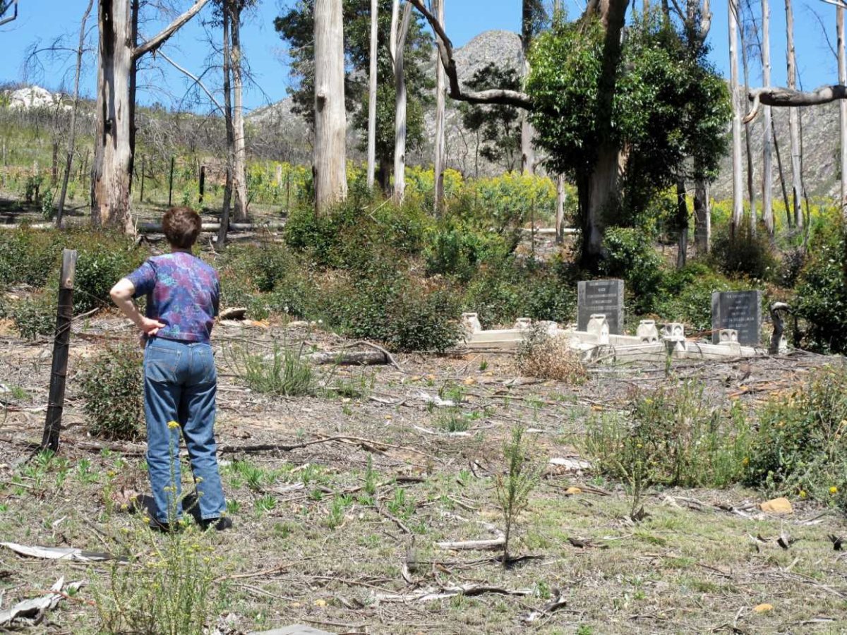 1. Overview on cemetery