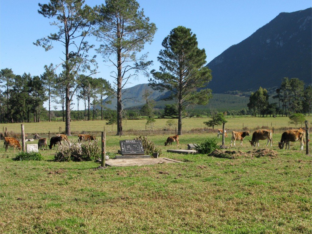 1. Overview