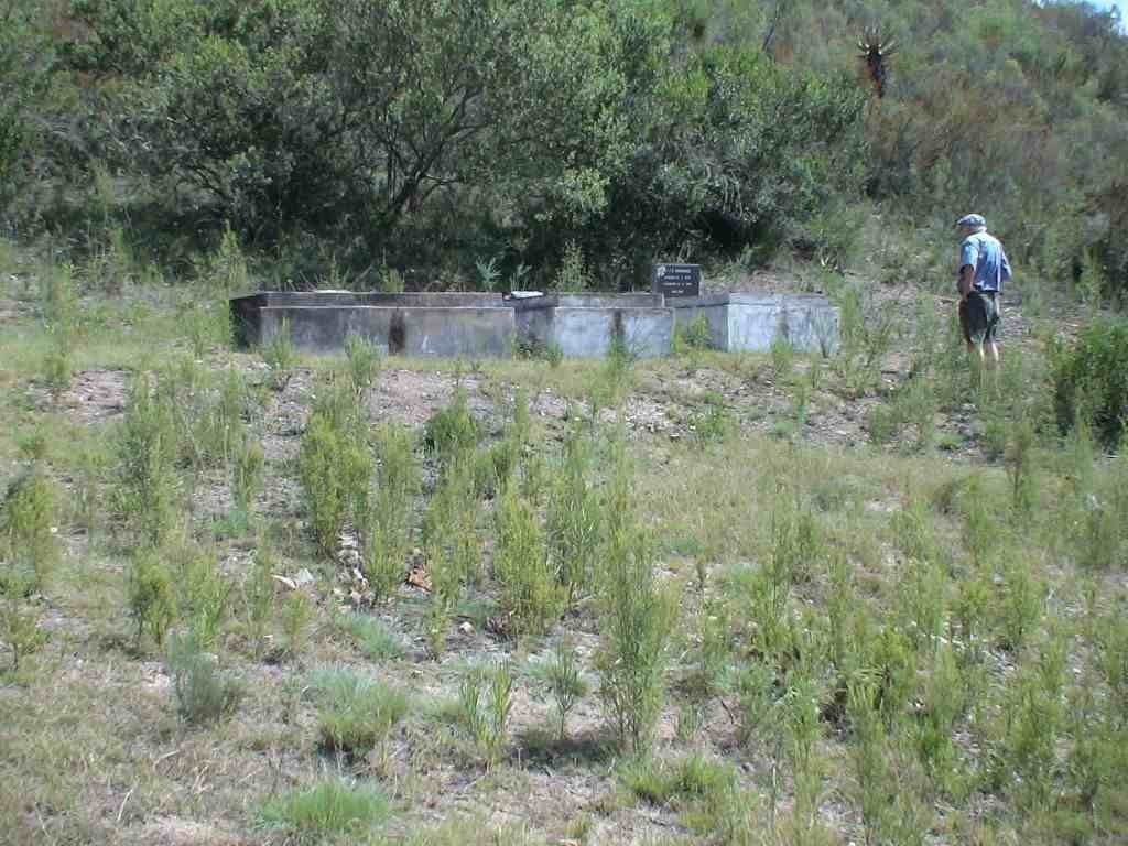 1. Oorsig / Overview