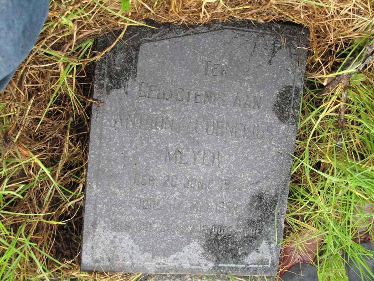 MEYER Anthony Cornelius 1872-1959