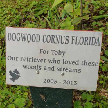 Toby 2003-2013