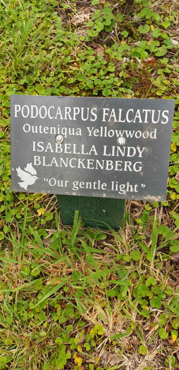 BLANCKENBERG Isabella Lindy