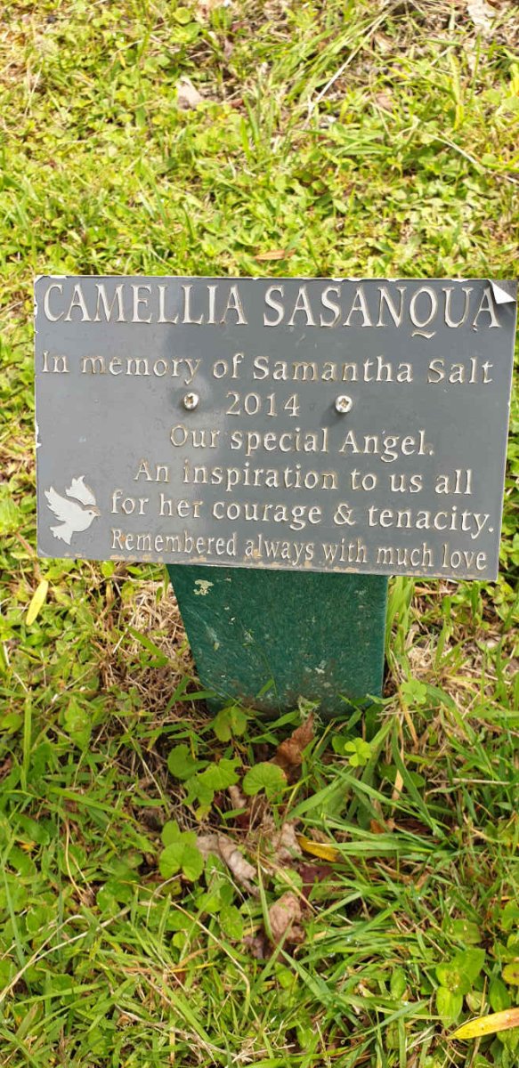SALT Samantha -2014