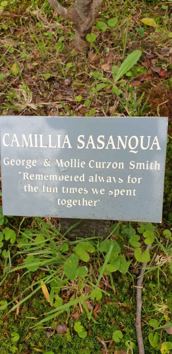 SMITH George &amp; Mollie Curzon