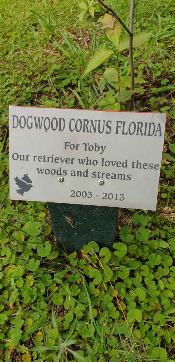 Toby 2003-2013