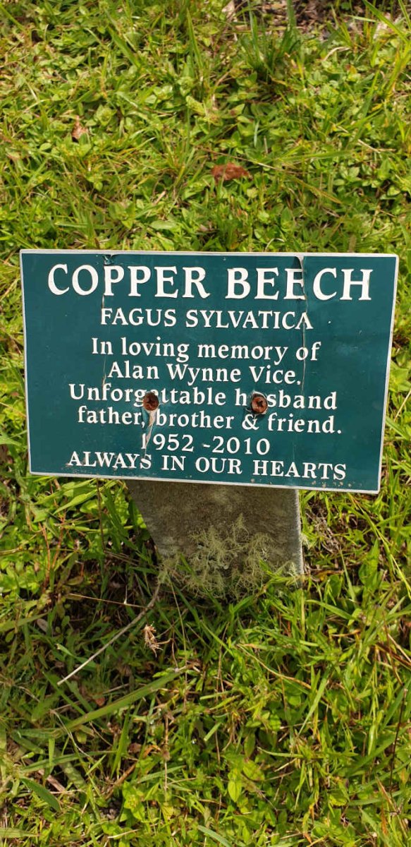 VICE Alan Wynne 1952-2010