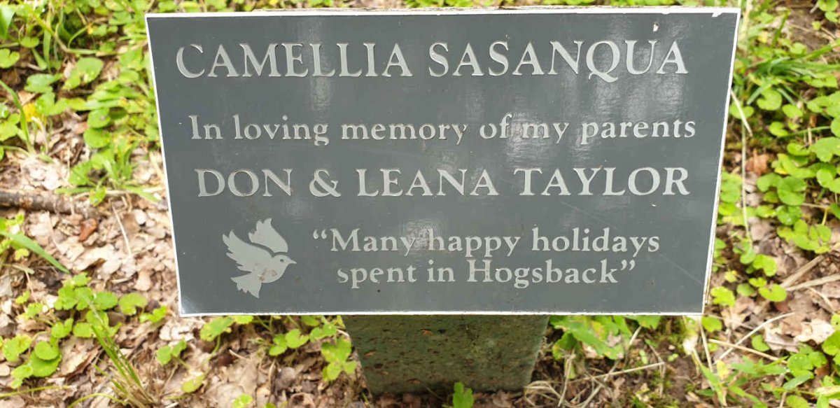 TAYLOR Don &amp; Leana