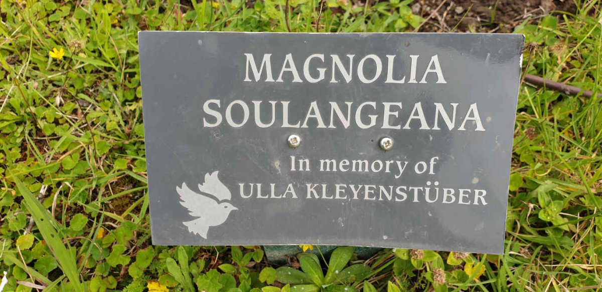 KLEYENSTUBER Ulla