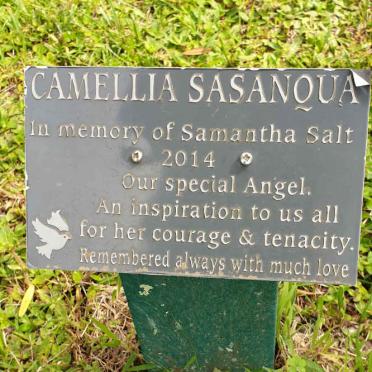 SALT Samantha -2014