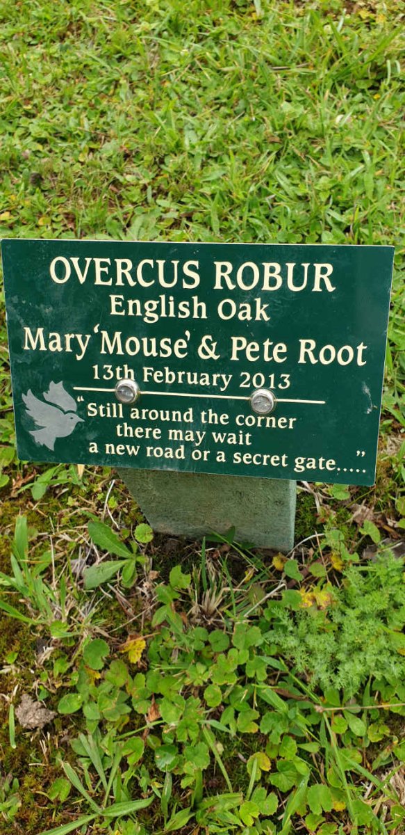 ROOT Pete &amp; Mary
