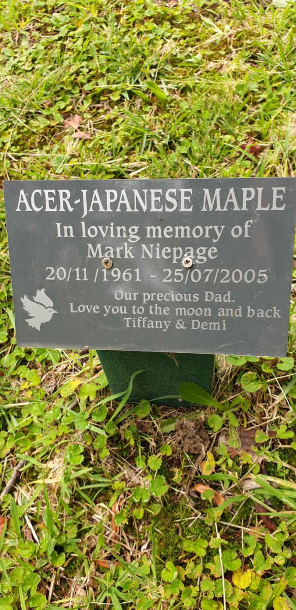 NIEPAGE Mark 1961-2005