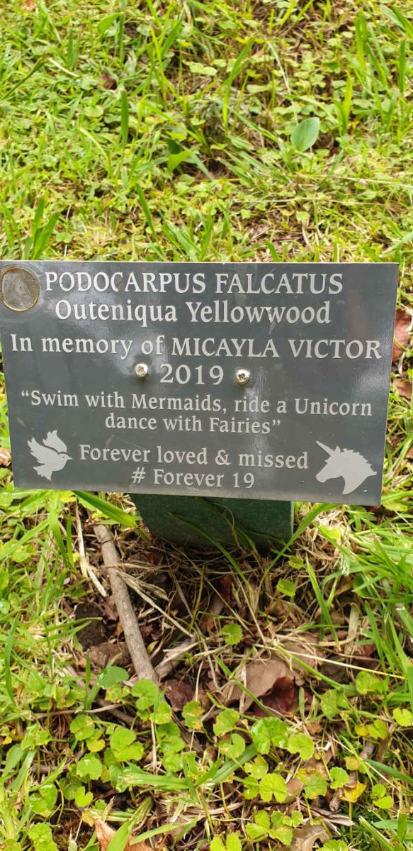VICTOR Micayla -2019