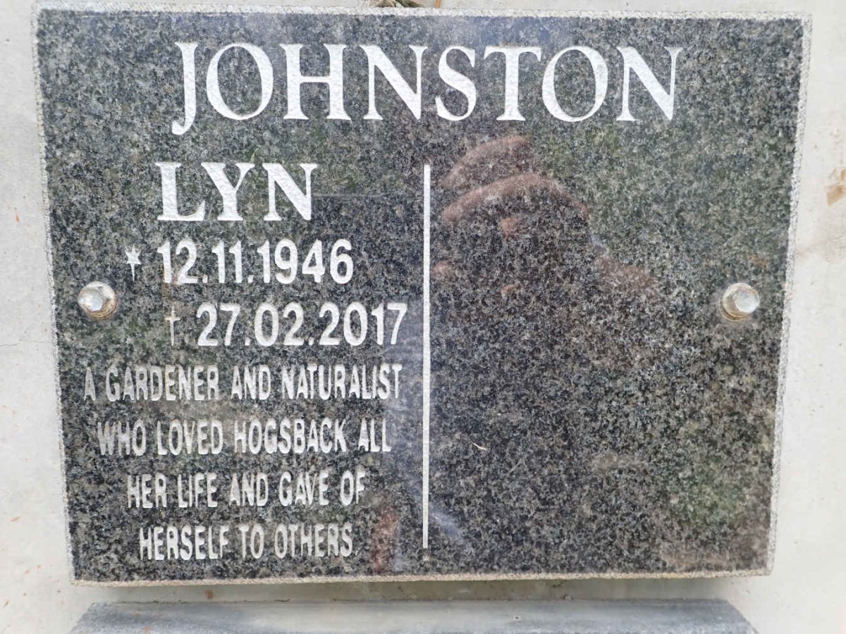 JOHNSTON Lyn 1946-2017