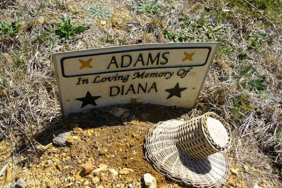 ADAMS Diana
