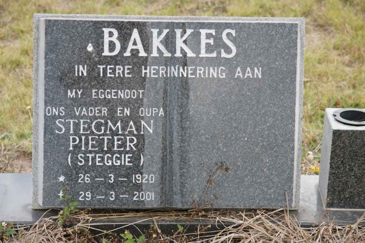 BAKKES Stegman Pieter 1920-2001