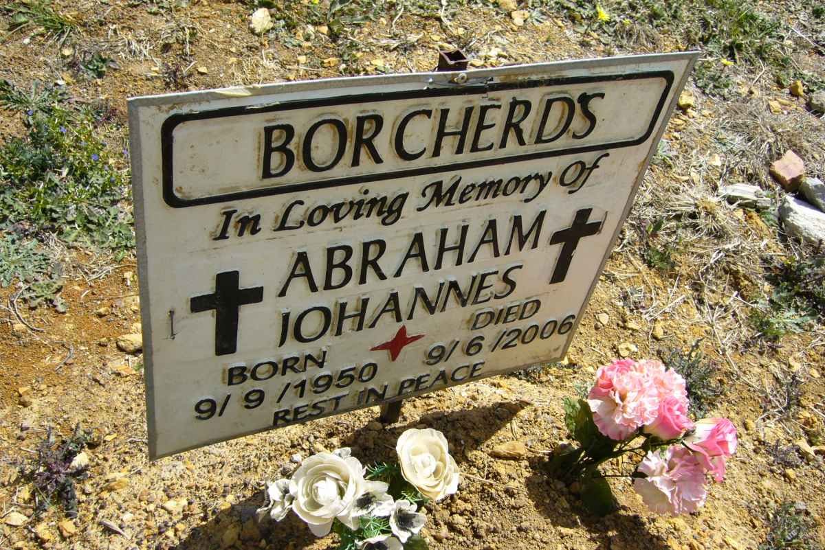 BORCHERDS Abraham Johannes 1950-2006