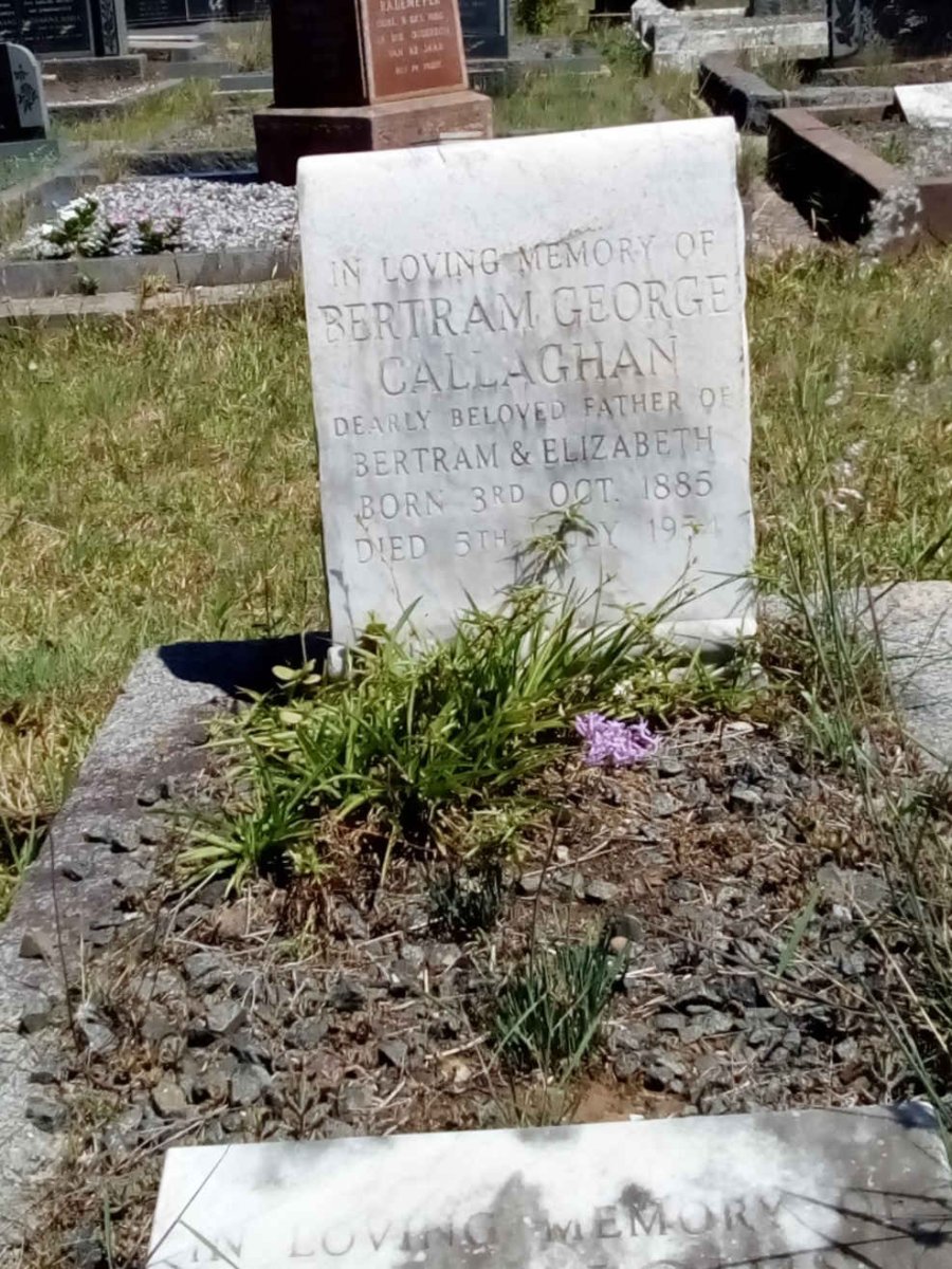 CALLAGHAN Bertram George 1885-1954