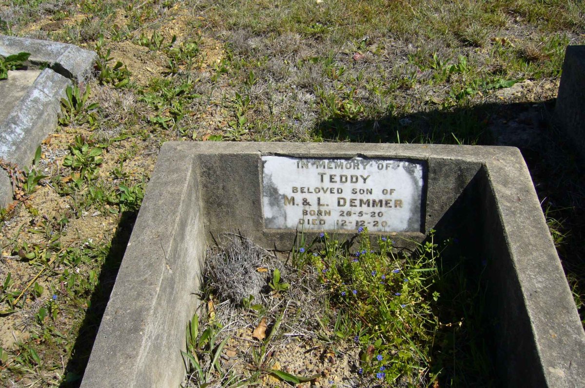 DEMMER Teddy 1920-1920