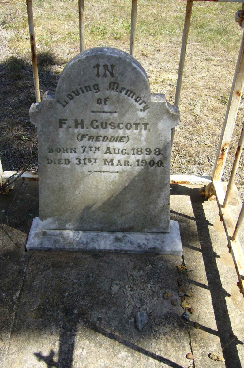 GUSCOTT F.H.  1898-1900