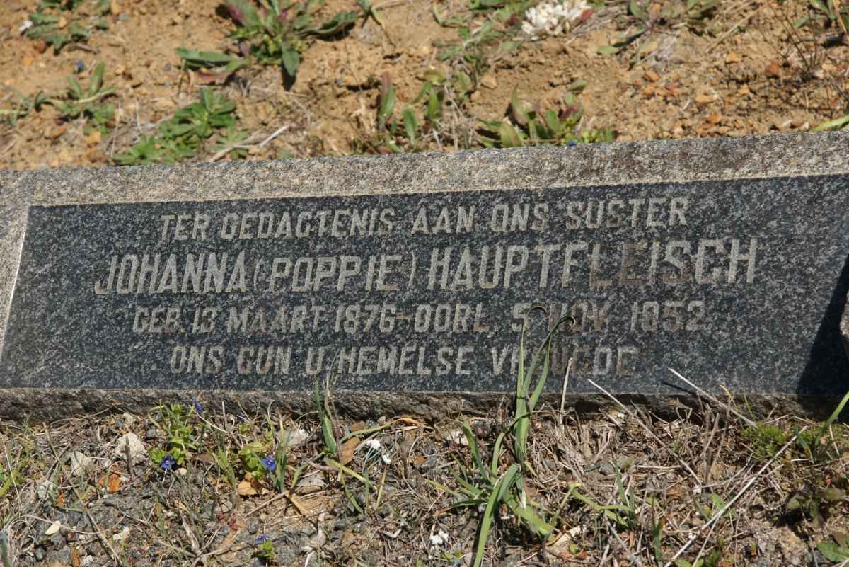 HAUPTFLEISCH Johanna 1876-1952
