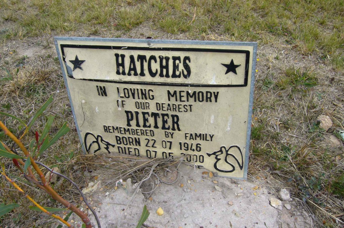 HATCHES Pieter 1946-2000
