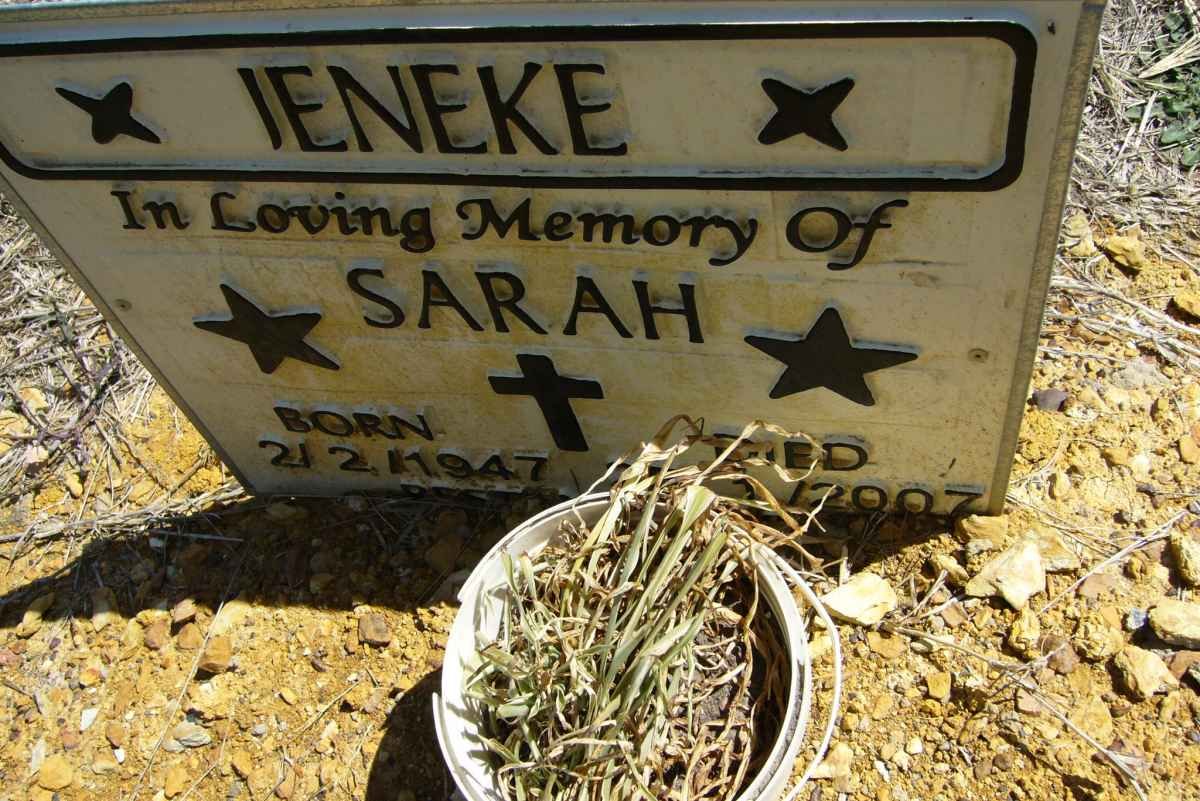 JENEKE Sarah 1947-2007