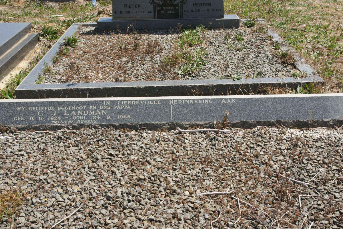 LANDMAN C.J. 1924-1966