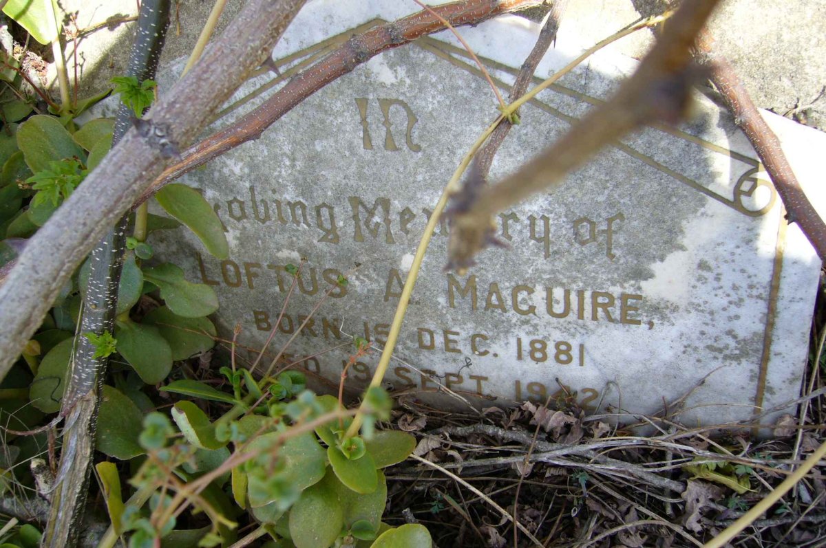 MAGUIRE Loftus A. 1881-1942
