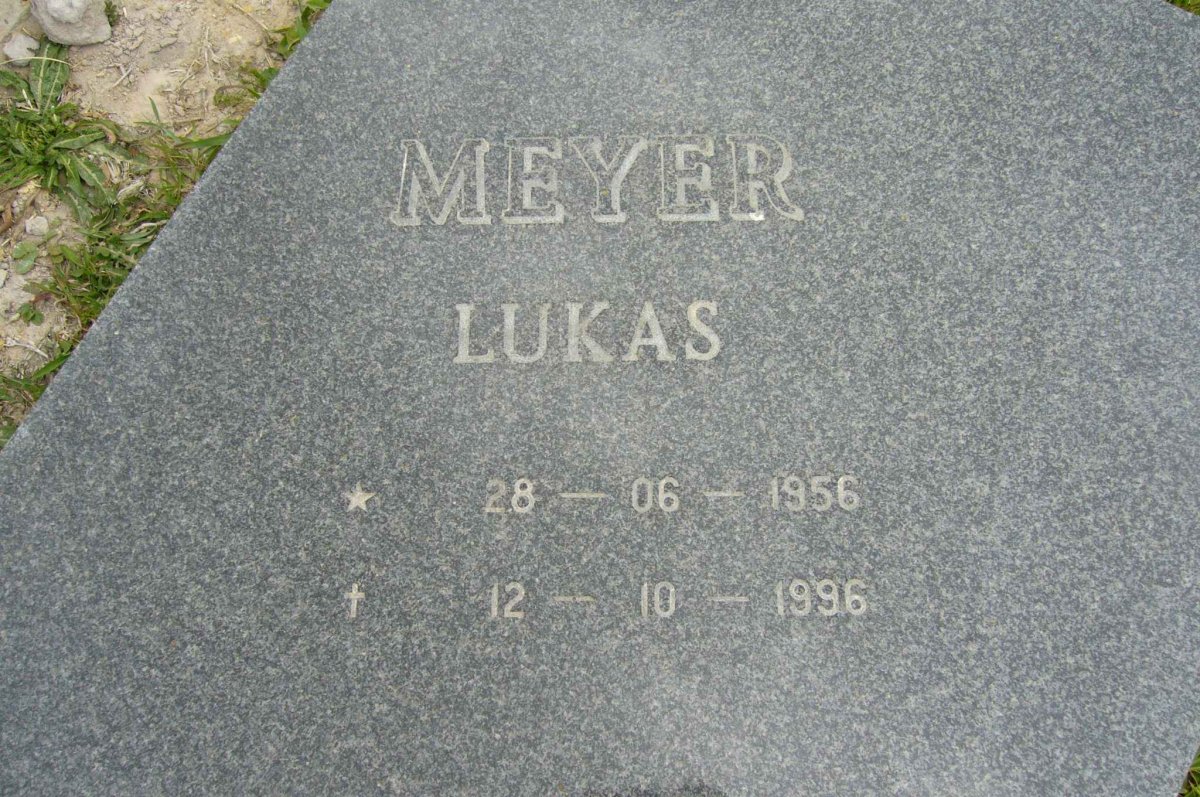 MEYER Lucas 1956-1996